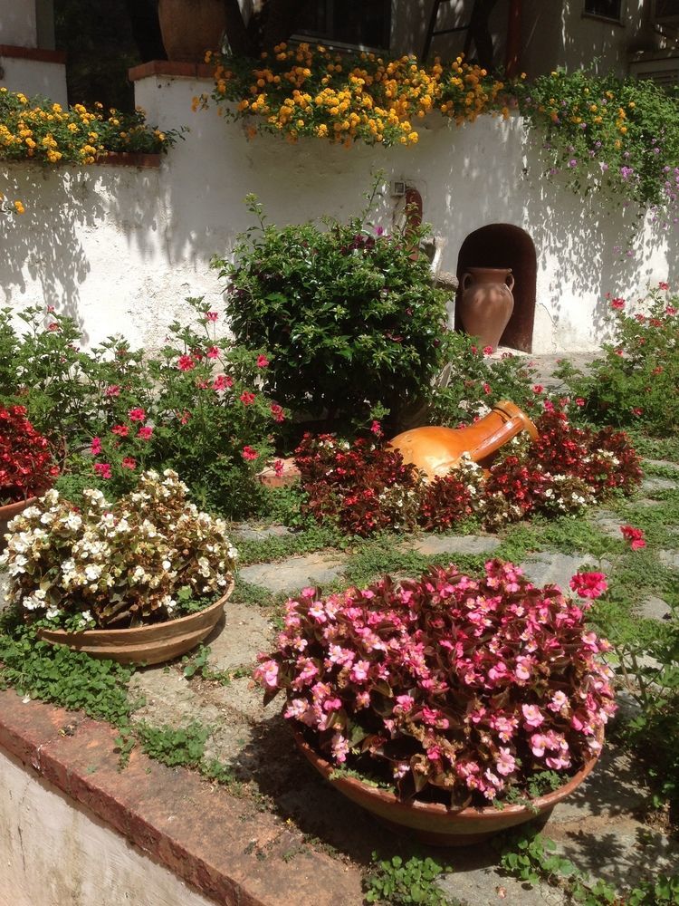 Mediterraneo Bed & Breakfast Anacapri Kültér fotó