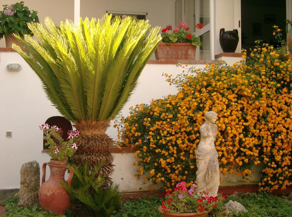 Mediterraneo Bed & Breakfast Anacapri Kültér fotó