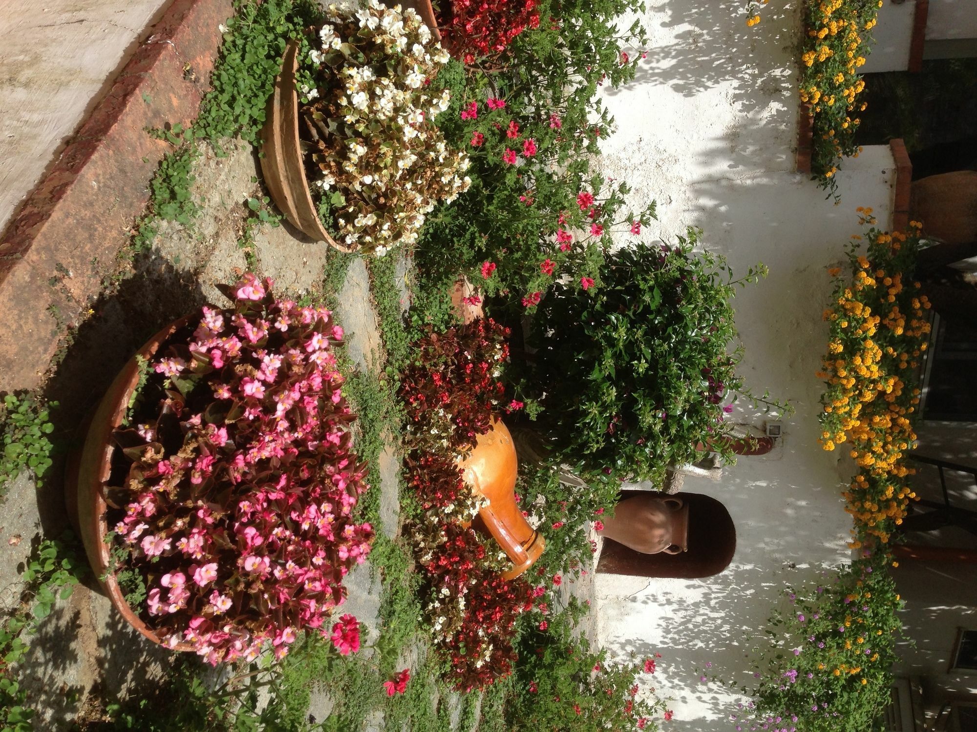 Mediterraneo Bed & Breakfast Anacapri Kültér fotó