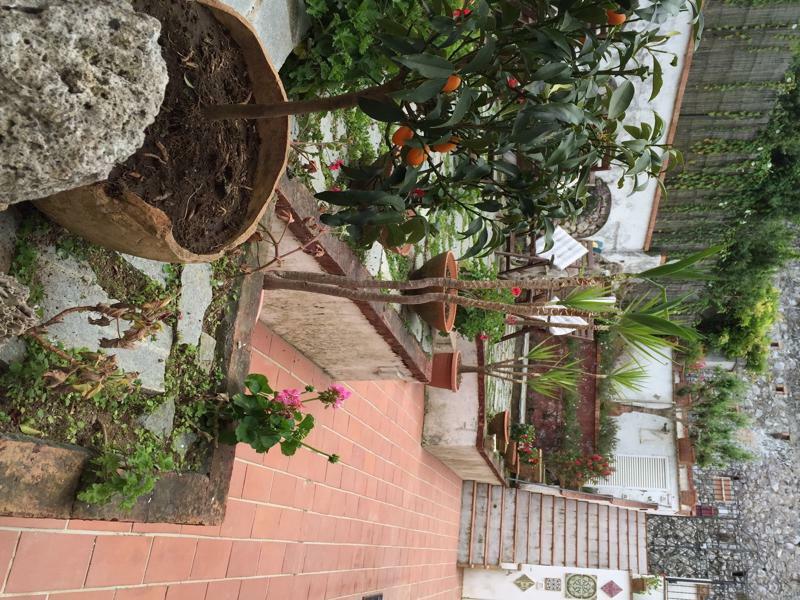 Mediterraneo Bed & Breakfast Anacapri Kültér fotó