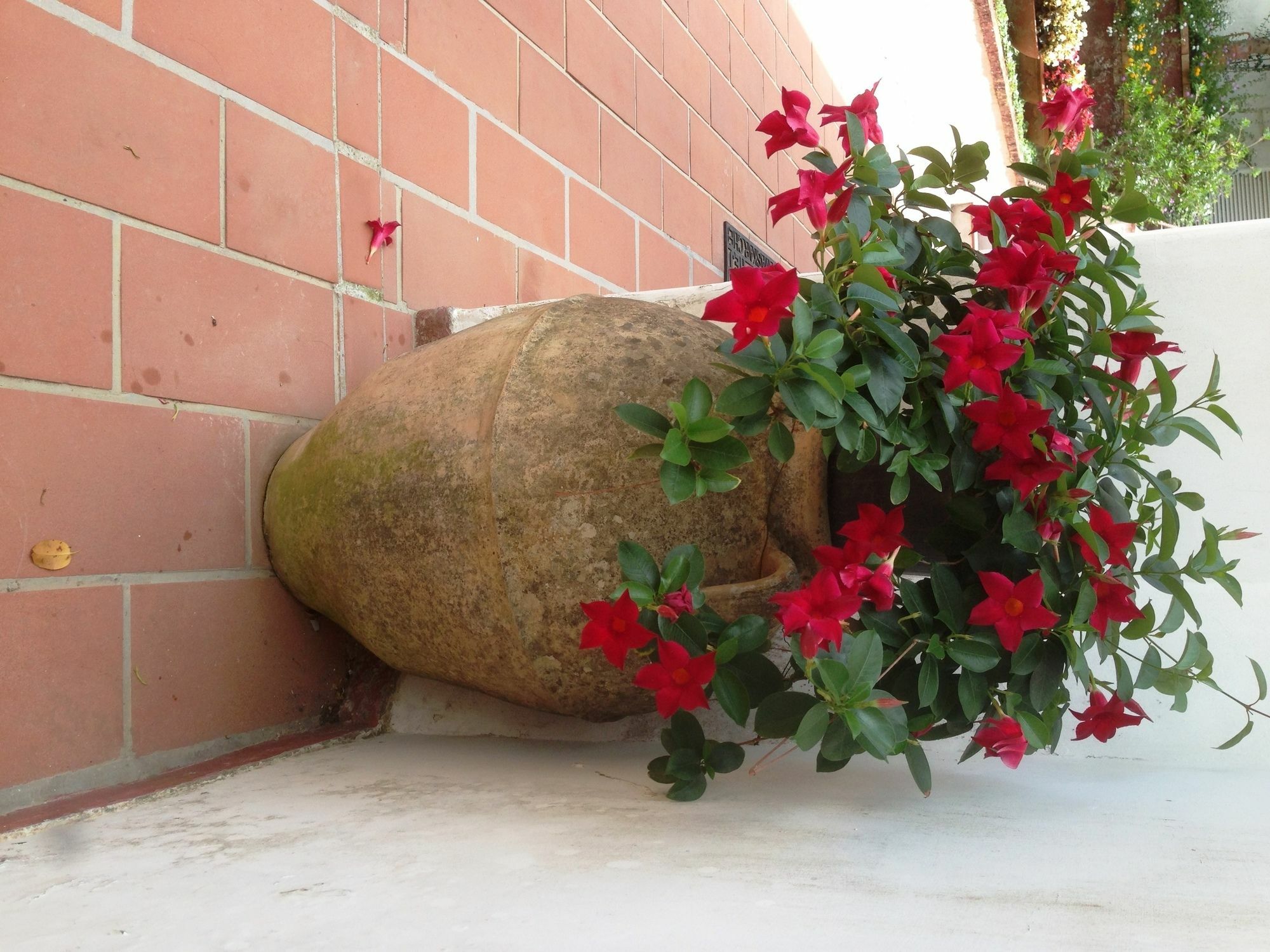 Mediterraneo Bed & Breakfast Anacapri Kültér fotó